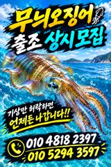 무늬오징어 팁런 모집중 사진