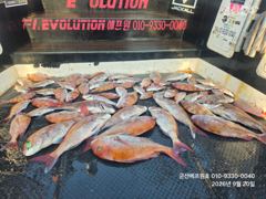 9월20일 팀에프원 정기출조 참돔타이라바 사진