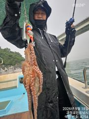 ~~*돌문어,씨알 마리수 좋습니다~(예약가능)*~~