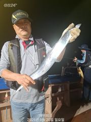 내만갈치 20일새벽 3지~3지반 많이잡았습니다 예약가능합니다 사진