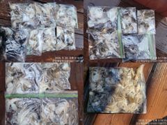 ⭐⭐어제바다는 심심할 틈이 없었습니다(군산제일호)⭐⭐