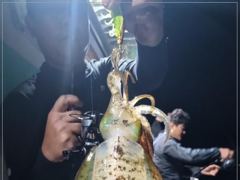 1   [통영] 무늬 "대박"~ 오늘 17시 출조 1 사진