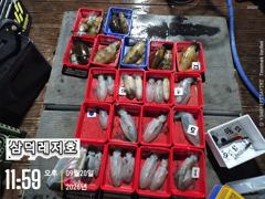 [팁런] 원도권,k,k,k,무시급들"퍽퍽"(수요일,출항확정)