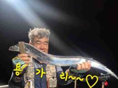 [마산] 내만갈치 맞나?!연이은 호조황 3지들이 퍽퍽~사이즈 좋앙~