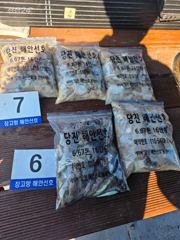 26년 9월 21일 당진 장고항 해안선호 쭈꾸미 조황 사진