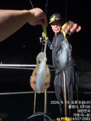 [거제] (감성돔) 떼고기 50여수~야간 무늬 팁런 끝내줘요~야호(23일…