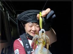 무늬오징어 조황~ 평균 두자리수 사진