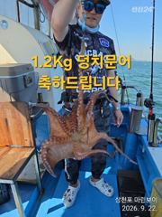 삼천포 마린보이 9. 22. 화요일 주간문어 대박 조황으로 다녀왔습니다.