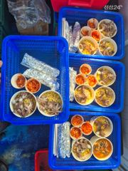 갑!!! 장원65마리!! 배 먹칠하고 왔습니다!! 사진