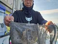 22일 군산샤크호 쭈꾸미굿조황 25일갑자리여유