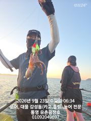 통영 금정호 아침부터 문어들 반응 좋습니다 내일오후 자리있습니다