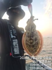 23일, 군산쭈꾸미,갑이와 함께 나오고 있어요~오전반 굿조황~~군산낚시프라자 월명호
