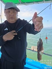 [사천] 쭈꾸미 조황