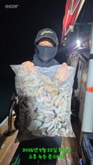 9월23일 팀보스선단 야간문어 조황