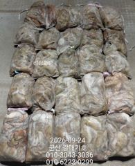 22일 홈런호 야간문어 항상 대박조황으로 마무리 합니다 사진