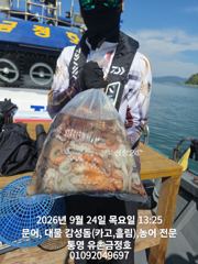 [통영] 통영 금정호 오전문어 그냥 잘나옵니다 금토일 자리여유 있습니다