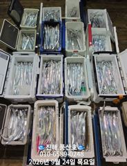 (풍산)내만갈치 3지급 느나느나, 엄청잡고, 만쿨~(예약가능합니다)