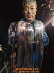 9월 24일 목. 여수 동부호 갈치낚시 (텐빈,외줄) 조황>