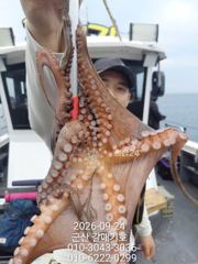 9월24일 갈매기호 실시간!!!!! 사진
