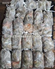 23일 홈런호 야간문어 언제나 굿조황으로 마무리 합니다 사진