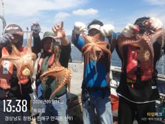 [진해] 돌문어 키로급들 퍽퍽~~(내일예약가능)