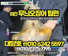 (무늬오징어)이게 원도권 씨알 K전후 덩치들~대양호(오늘 예약)