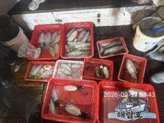 9월26일 무늬오징어 팁런조과입니다 사진