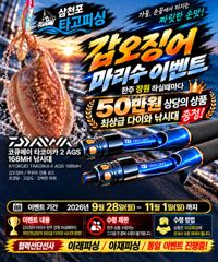 갑오징어 10연타~~ 사이즈 굿 사진
