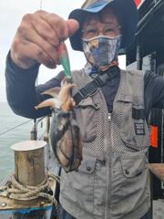 25일 나폴리7 갑오징어 조황 사진