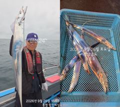 통영 수 은 호<<>>갈치 조황입니다 오늘 3자리여유 있습니다 예약하실때 자리 선택하세요~예약은 3361 4231 전화주세요 사진