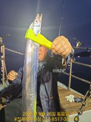 실시간 ㅡ내만칼치 ㅡ초저녁부터 피딩으로 꾸준히 올라오네요 (예약가능) 사진