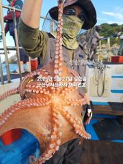 27일, 군산문어 덩치급 문어가 춤추네요~ㅎㅎ~오늘도 굿~실시간~군산낚시프라자 챔피언호 사진