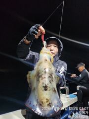 역쉬! 피딩 k로오버~ 사진