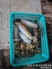 9/27일 팁런조황입니다 사진