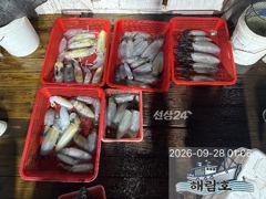 9월27일 무늬오징어 팁런조과입니다. 사진