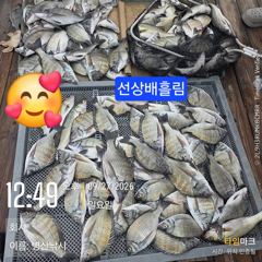 [고성] 병산 감성돔44외 마리수 농어 마리수 선상배&선외기흘림조황~ 사진