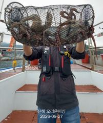 야간문어!문어 사이즈가 너무 좋아졌습니다~오늘예약가능. 사진