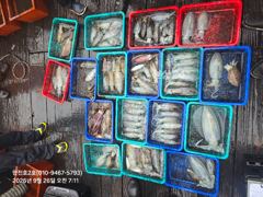 [포항] 만진2호 팁런 조황 9/26 사진