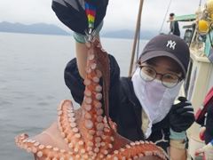 돌문어 1800g1600g외 키로급만 10여수 씨알 대박.. ( 내일예약가능 ) 사진