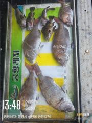 [통영] [곤리 풍화 궁항] 궁항레저 9월 27일 28일 조황입니다 사진
