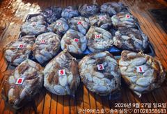 ♡어비스호~ 27일 갑오징어 사이즈 마릿수 초대박♡ 사진