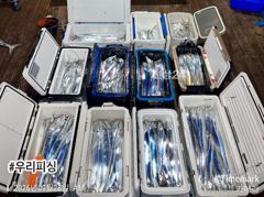 준내만갈치(텐빈. 텐야) 조황입니다. (수요일 예약가능) 사진