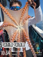 다잡아 사진