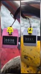 9눨 28일 삼길포 진주2호 주꾸미 조황입니다. 사진
