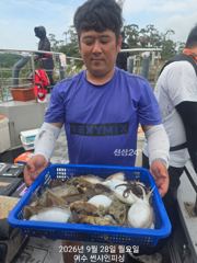 9월 28일 월요일 갑오징어 조황 사진