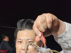 [고성] 정비완료 화요일 몬스터 사냥 출동합니다 사진