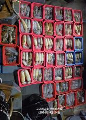 1   [거제] (팁런) 무늬 초~대박 33수30수35수 쫙~깔고 고고써니호(오… 1
