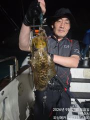 30일 거문도 무늬 오징어 출조 합니다 사진