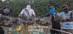 [통영] (문어) 美쳤네~개인 22수 20수 K키로급까지~퍼담아요~락피싱… 사진