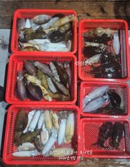28일(월요일) 무늬팀런 다녀왔습니다 사진